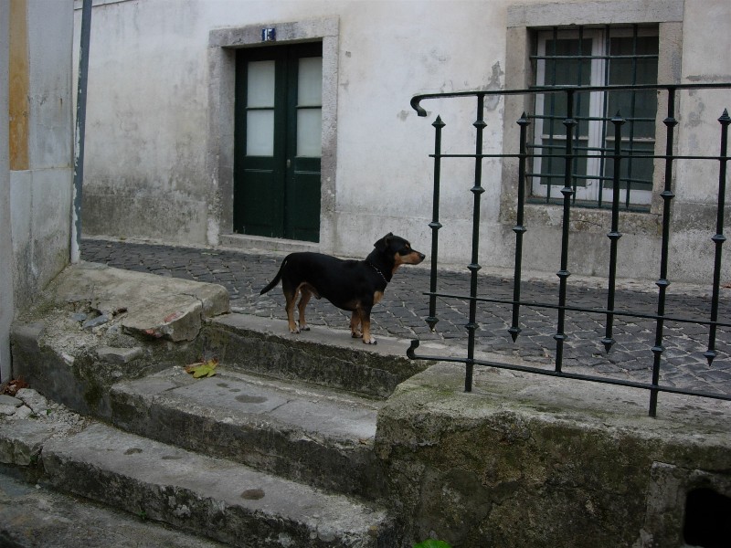 Sintra